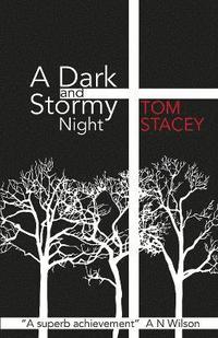 bokomslag A Dark and Stormy Night