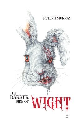 bokomslag Darker Side of Wight