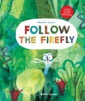 Bernardo Carvalho - Follow the Firefly/Run, Rabbit, Run, Inbunden