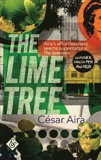 bokomslag The Lime Tree