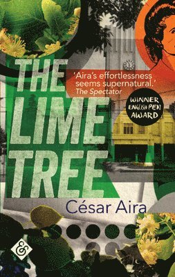 Lime Tree