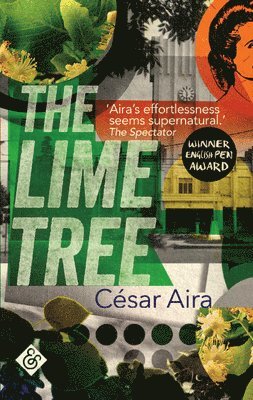 The Lime Tree 1