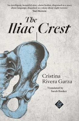 bokomslag Iliac Crest