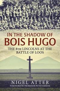 bokomslag In the Shadow of Bois Hugo