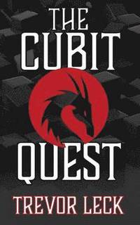 bokomslag The Cubit Quest