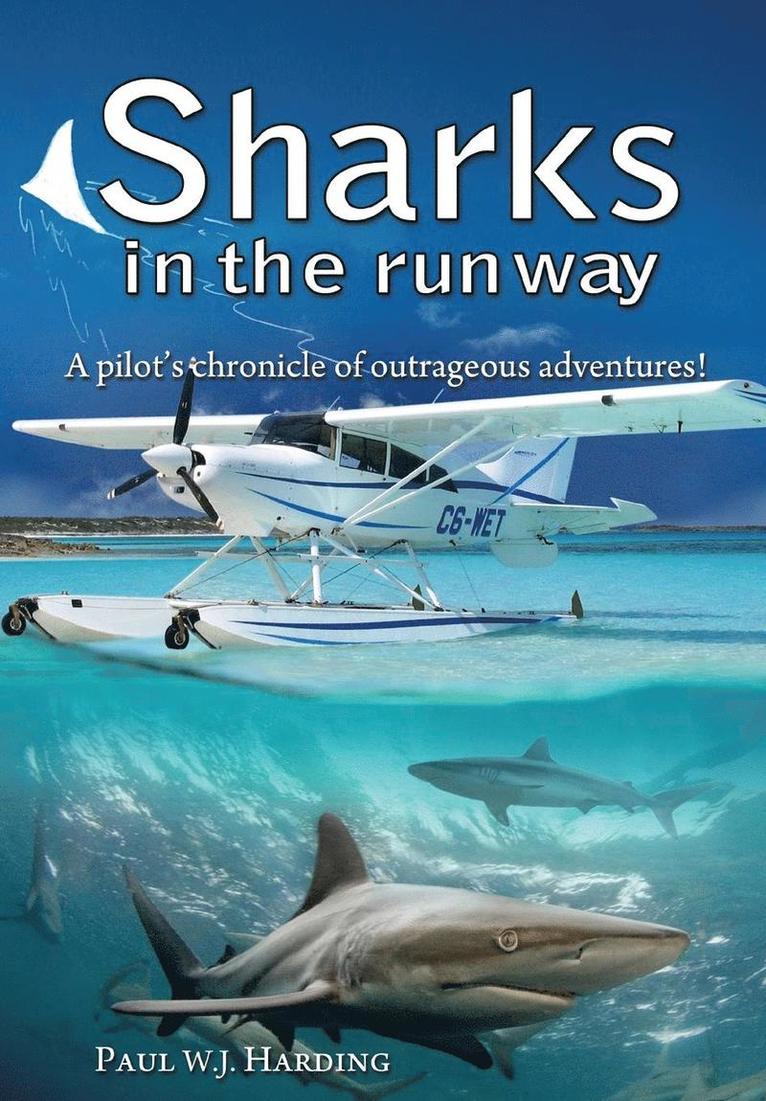 Sharks in the Runway 1