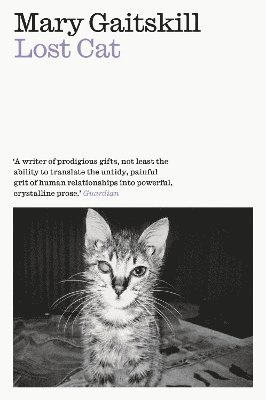 Mary Gaitskill - Lost Cat, Häftad