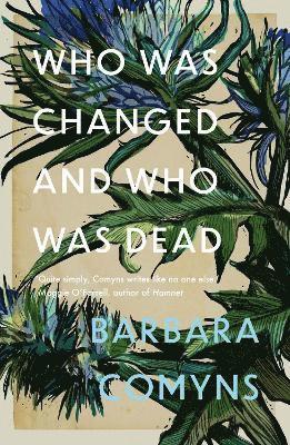 Barbara Comyns - Who Was Changed and Who Was Dead, Häftad