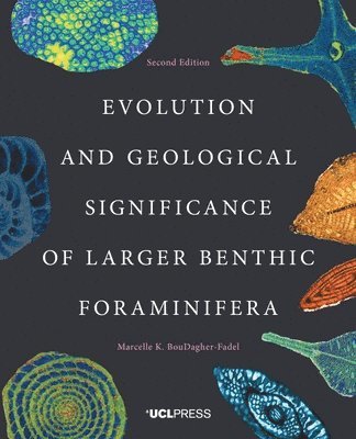 Evolution and Geological Significance of Larger Benthic Foraminifera 1