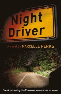 bokomslag Night Driver