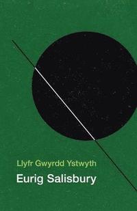 bokomslag Llyfr Gwyrdd Ystwyth