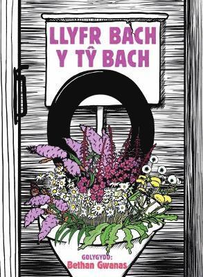 Cyhoeddiadau Barddas, Bethan Gwanas - Llyfr Bach y Tŷ Bach, Inbunden