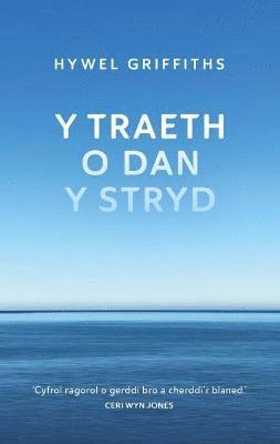 bokomslag Y Traeth o dan y Stryd