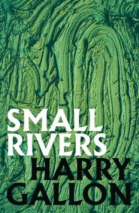 bokomslag Small Rivers