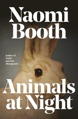 Naomi Booth - Animals at Night, Häftad