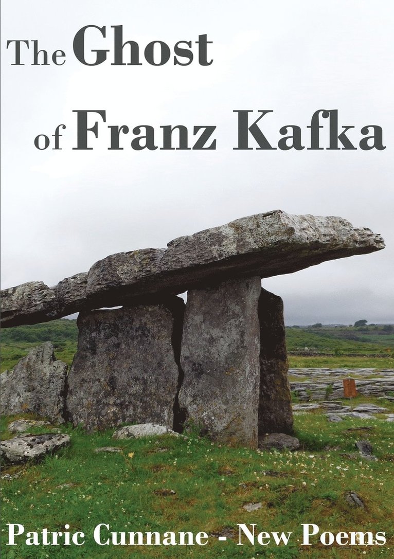 The Ghost of Franz Kafka 1
