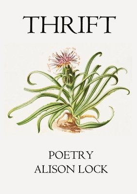 Alison Lock - Thrift, Häftad