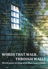 bokomslag Words That Walk Through Walls