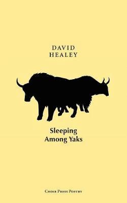 David Healey - Sleeping Among Yaks, Häftad