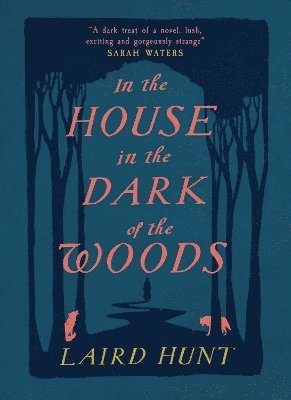 In the House in the Dark of the Woods 1