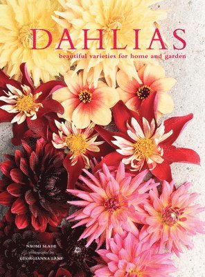 bokomslag Dahlias