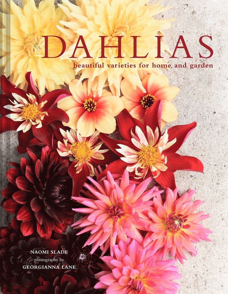Naomi Slade, Georgianna Lane - Dahlias, Inbunden