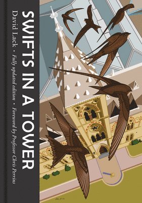 David Lack - Swifts in a Tower, Inbunden