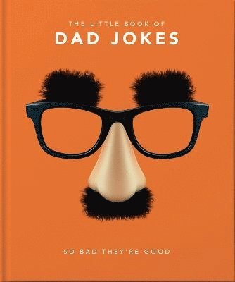 bokomslag The Little Book of Dad Jokes