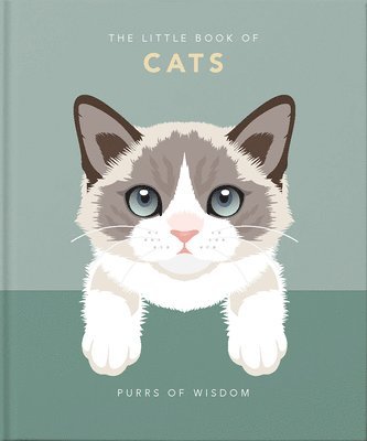 bokomslag Little Book of Cats
