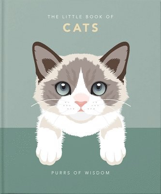 Orange Hippo!, Hippo! Orange - Little Book of Cats, Inbunden