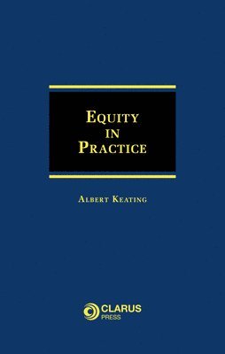 bokomslag Equity in Practice