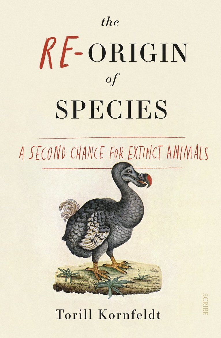 Torill Kornfeldt - Re-Origin of Species, Häftad