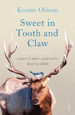 bokomslag Sweet in Tooth and Claw