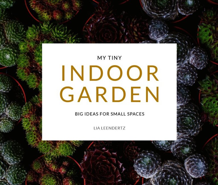 My Tiny Indoor Garden