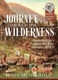 bokomslag Journey through the Wilderness