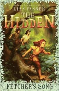 bokomslag The Hidden Series 3