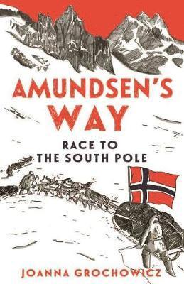 bokomslag Amundsen's Way