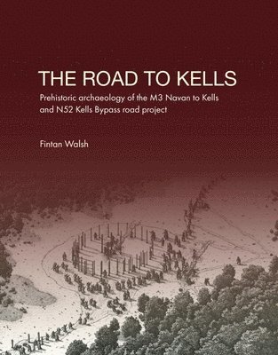 Fintan Walsh - Road to Kells, Häftad