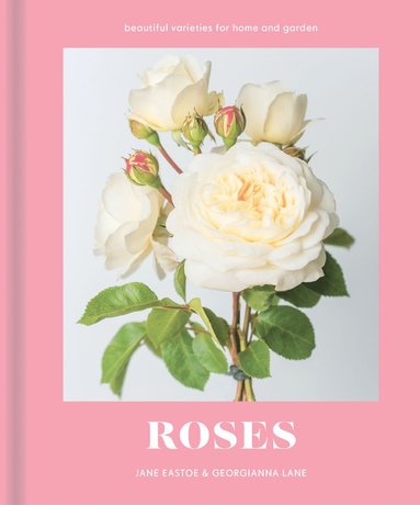 bokomslag Roses