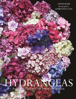 Hydrangeas 1