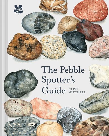 Clive Mitchell - Pebble Spotter's Guide, Inbunden