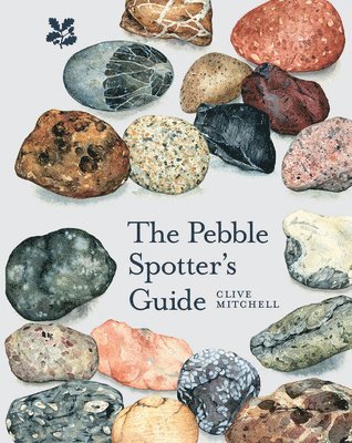 bokomslag Pebble Spotter's Guide