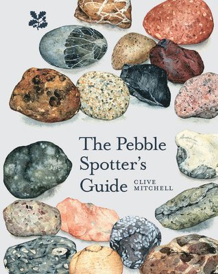 bokomslag The Pebble Spotter's Guide