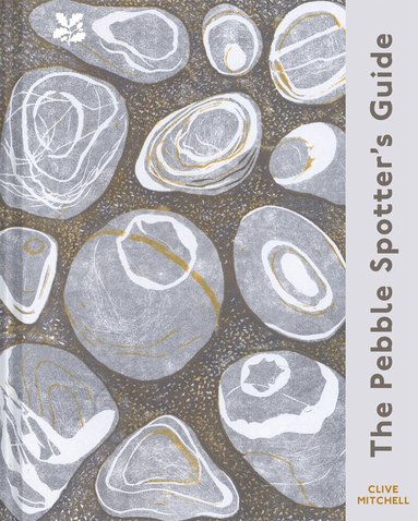 Clive Mitchell - Pebble Spotter's Guide – National Trust Edition, Inbunden