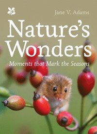 bokomslag Natures Wonders