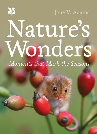 bokomslag Nature's Wonders