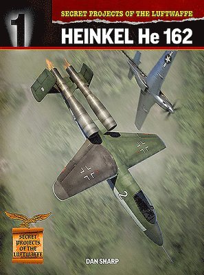 bokomslag Secret Projects of the Luftwaffe: