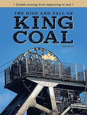 bokomslag The Rise and Fall of King Coal