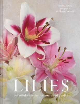 Lilies 1