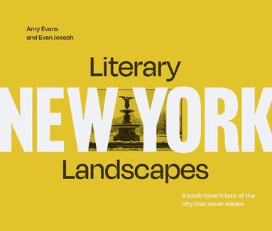 bokomslag Literary Landscapes: New York